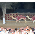 Sunset Desert Safari for Two with Dune Bashing and Dinner |  at Wondergifts