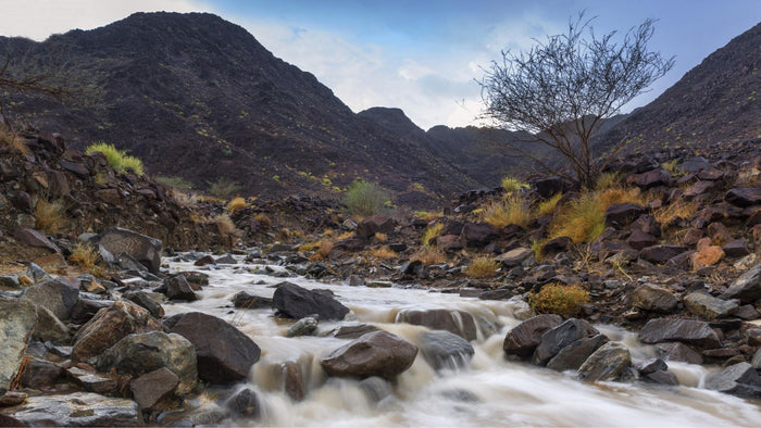 Luxury Jeep Safari Experience for Two |  at Wondergifts