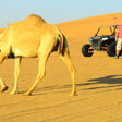 Ras Al Khaimah Afternoon Desert Safari with Dinner for Two |  at Wondergifts
