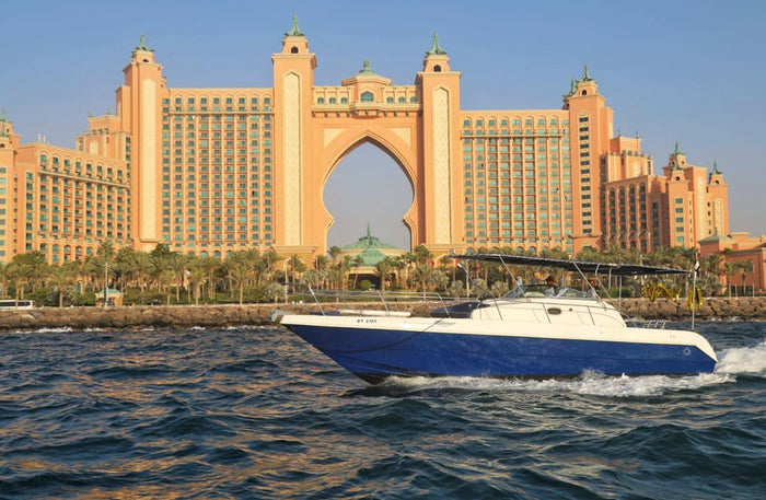 Exciting 3-Hour Fishing Trip on a 36ft Yacht for Up to 10 People |  at Wondergifts