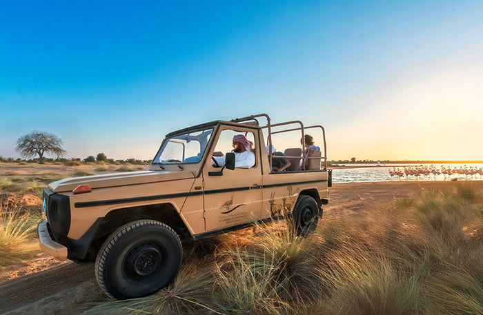 Al Marmoom Luxury Dome Stay: One Night Full Board with G-Class Safari & More |  at Wondergifts