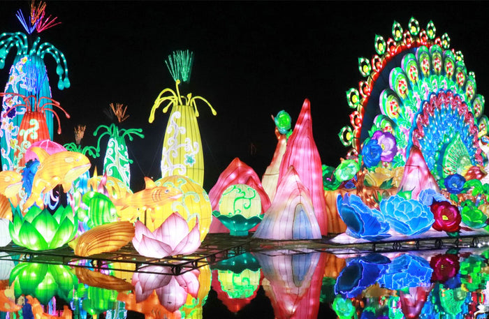 Garden Glow and The Frame Entrance tickets for One |  at Wondergifts