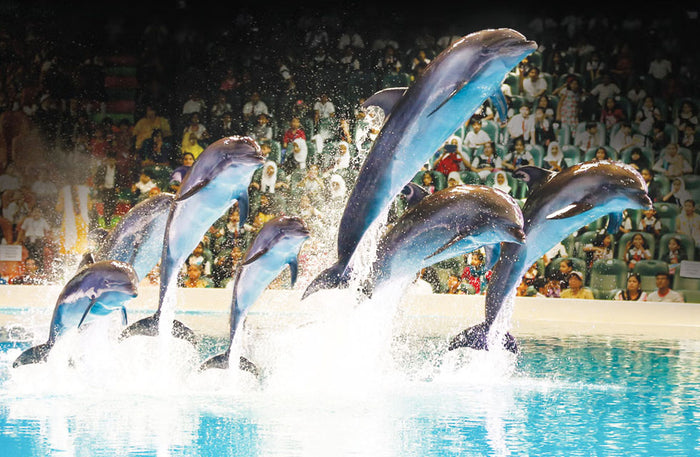 Happy Diwali Gift Box: Explore 180+ Exciting Activities and Memorable Experiences |  at Wondergifts