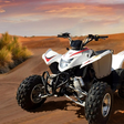 30 Minutes Guided Quad Bike Tour in the Desert |  at Wondergifts