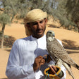 Falconry Experience with Gourmet Breakfast |  at Wondergifts