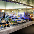 Lunch or Dinner Buffet for One at Artisan Kitchen - Bab Al Qasr |  at Wondergifts