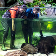 Marine Adventure Tickets for Two at National Aquarium Abu Dhabi |  at Wondergifts