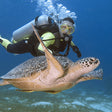Fujairah Scuba Diving and Snorkeling with Turtles including BBQ Lunch |  at Wondergifts