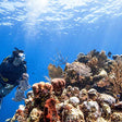 Fujairah Stay & Scuba Dive Gift Box: Luxury Stay with Dive Experience for Two |  at Wondergifts