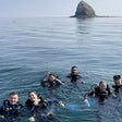 Your Ultimate Beginner's Guide to Scuba Diving Adventures in Al Fujairah |  at Wondergifts