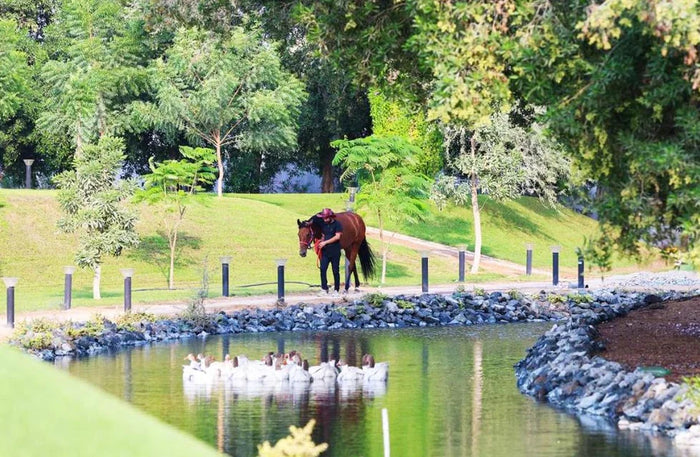 Unique One-Night Stay in a Luxurious Wagon with Breakfast for Two at Nirvana Retreat |  at Wondergifts