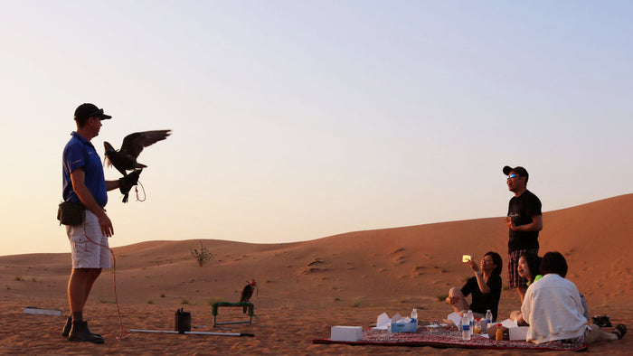 Sunrise Safari & Wildlife Adventure with Breakfast in the Desert for Two |  at Wondergifts