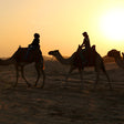 Morning Desert Safari with Dune Bashing and Sandboarding |  at Wondergifts