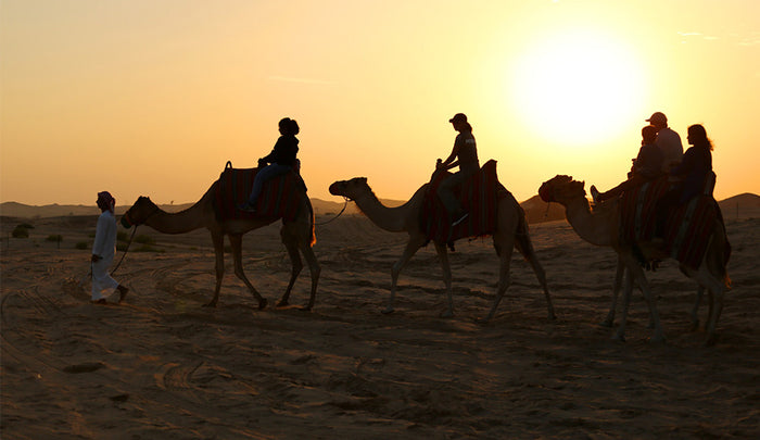 Morning Desert Safari with Dune Bashing and Sandboarding |  at Wondergifts