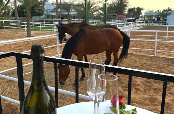 Unique One-Night Stay in a Luxurious Wagon with Breakfast for Two at Nirvana Retreat |  at Wondergifts