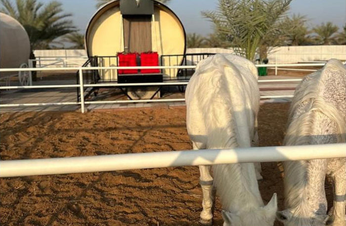 Unique One-Night Stay in a Luxurious Wagon with Breakfast for Two at Nirvana Retreat |  at Wondergifts